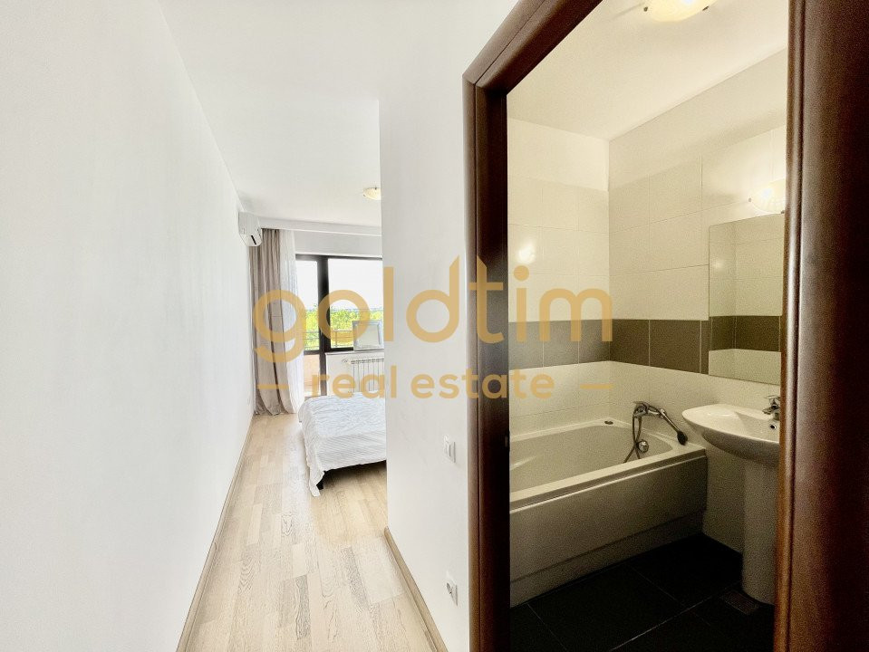 PRIVELISTE SUPERBA/ IANCU NICOLAE/ SPATII DEPOZITARE