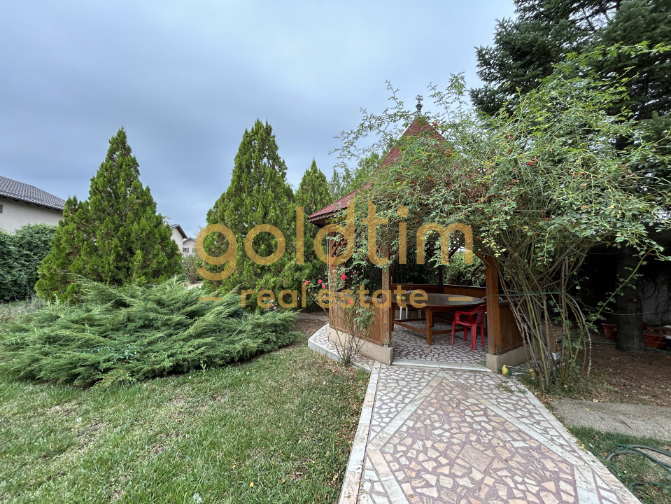 VILA 5 CAMERE CU PISCINA/TEREN 2650MP/CASA PERSONAL/GARAJ/SNAGOV-CIOFLICENI/