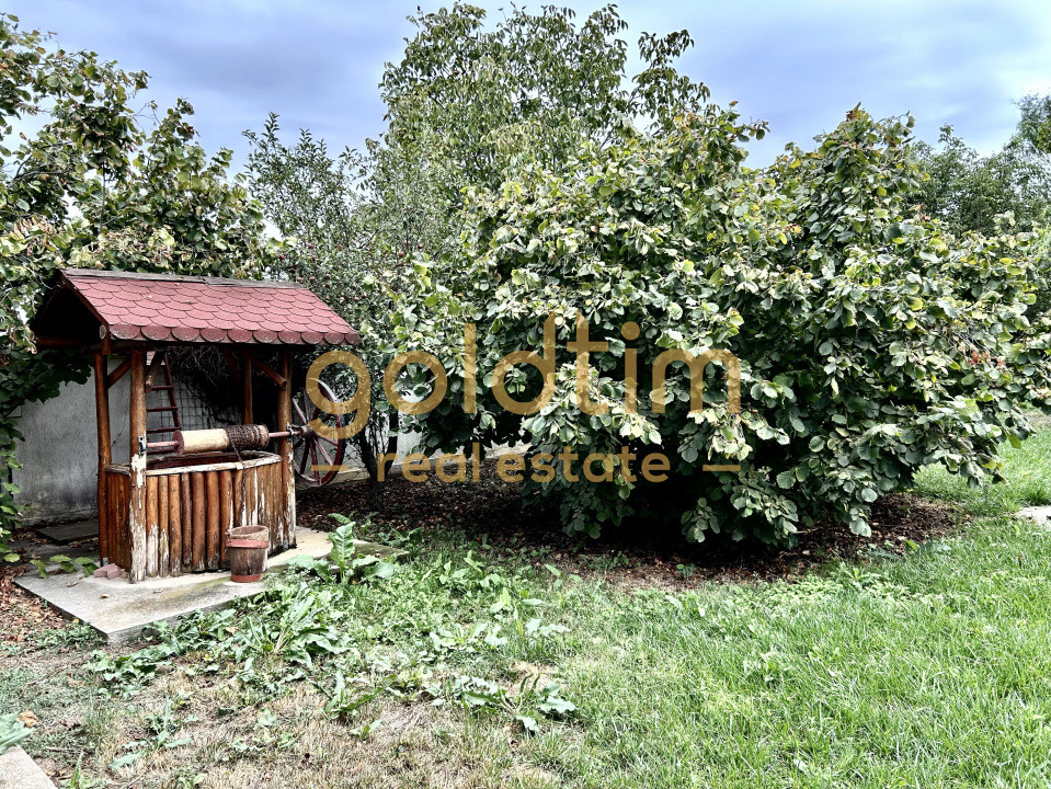 VILA 5 CAMERE CU PISCINA/TEREN 2650MP/CASA PERSONAL/GARAJ/SNAGOV-CIOFLICENI/