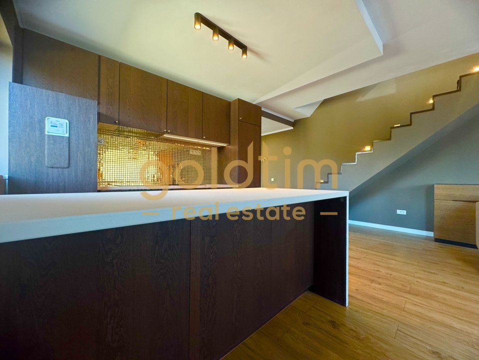 SUPERB/MATEI MILLO/SPATII DEPOZITARE/DUPLEX 