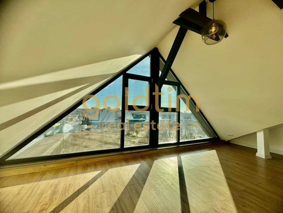 SUPERB/MATEI MILLO/SPATII DEPOZITARE/DUPLEX 