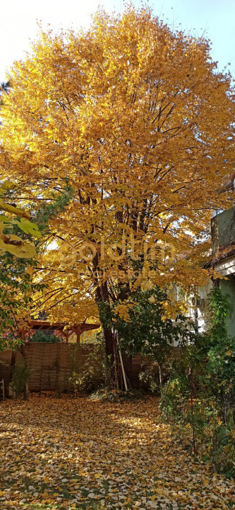 VILA DUPLEX/COMPLEX INCHIS SECURIZAT/BANEASA RESIDENTIAL/IANCU NICOLAE/ GARAJ