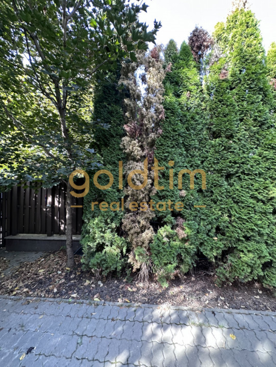 VILA CU PISCINA/CURTE/COMPLEX SECURIZAT/OXFORD GARDENS/PIPERA