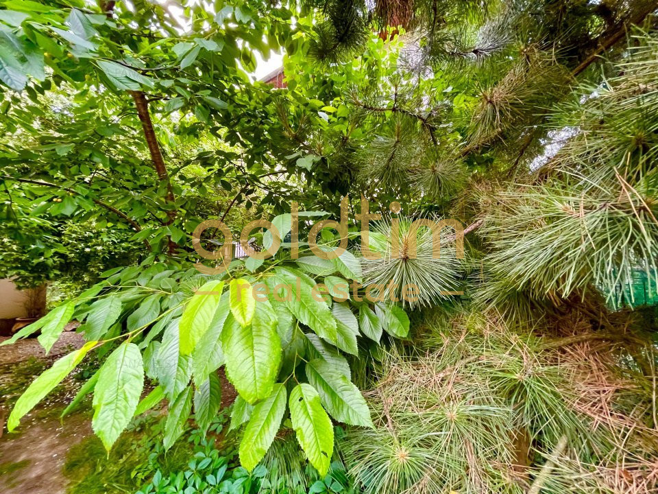 ZONA EXCLUSIVISTA!PARCARE SUBTERANA/BIROURI SAU REZIDENTIAL