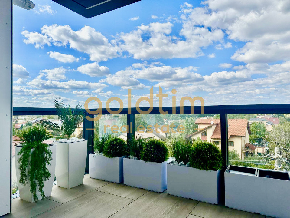 PIPERA/CORTINA NORTH/SPATII GENEROASE/SUPERB