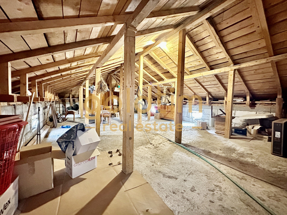 VILA INDIVIDUALA/TEREN 2000MP/VEGETATIE MATURA/CURTE AMENAJATA