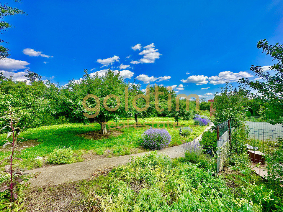 VILA INDIVIDUALA/TEREN 2000MP/VEGETATIE MATURA/CURTE AMENAJATA