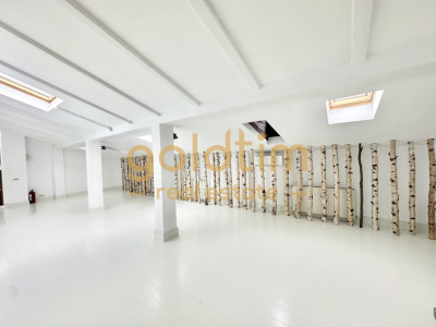 VILA INTERBELICA RENOVATA/ANEXA/CURTE/PRETABILA ACTIVITATI COMERCIALE/DOROBANTI