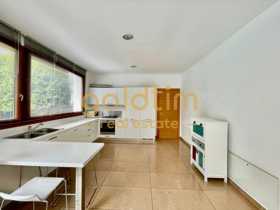 IANCU NICOLAE/PISCINA/GARAJ/BRITISH SCHOOL/PIPERA