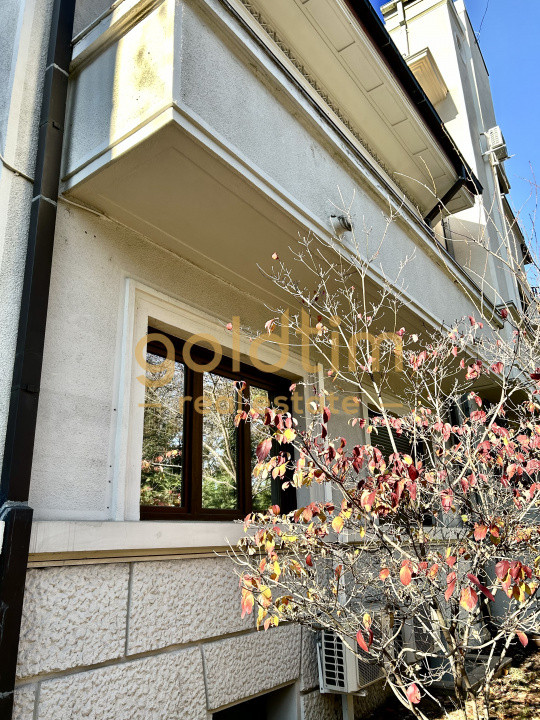 VILA SUPERBA RENOVATA COMPLET/4 APARTAMENTEx120M/480MP/KISELEFF-MUZEUL TARANULUI