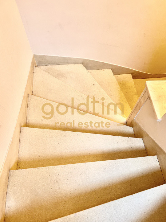 VILA SUPERBA RENOVATA COMPLET/4 APARTAMENTEx120M/480MP/KISELEFF-MUZEUL TARANULUI