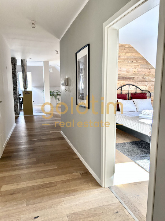 VILA SUPERBA RENOVATA COMPLET/4 APARTAMENTEx120M/480MP/KISELEFF-MUZEUL TARANULUI