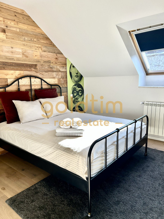 VILA SUPERBA RENOVATA COMPLET/4 APARTAMENTEx120M/480MP/KISELEFF-MUZEUL TARANULUI