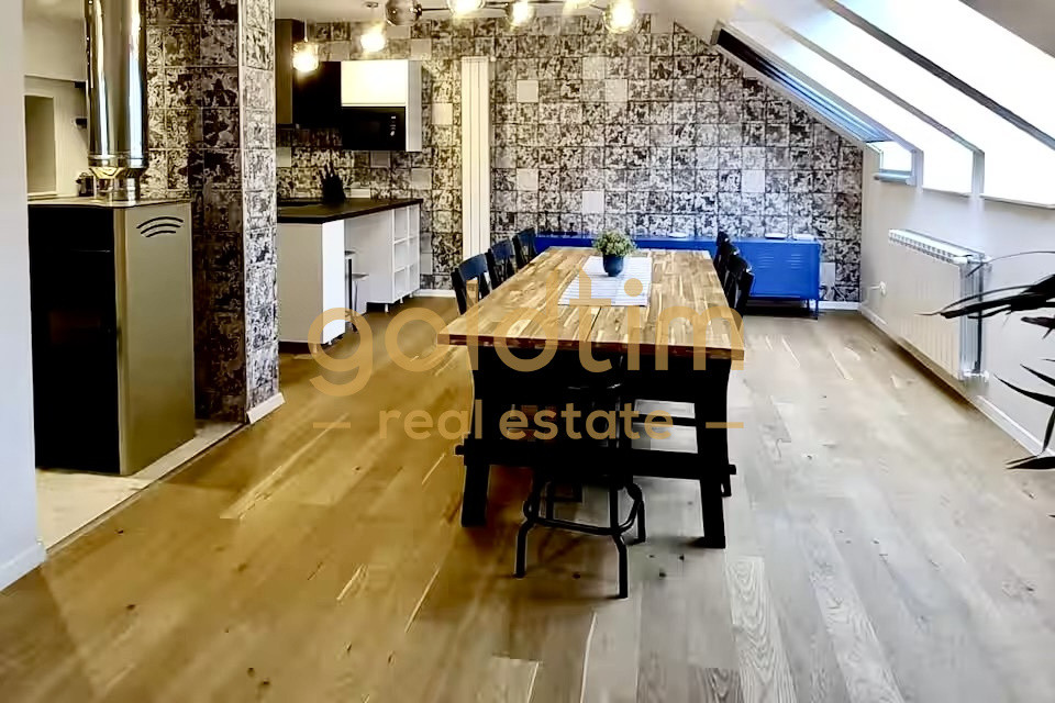 VILA SUPERBA RENOVATA COMPLET/4 APARTAMENTEx120M/480MP/KISELEFF-MUZEUL TARANULUI