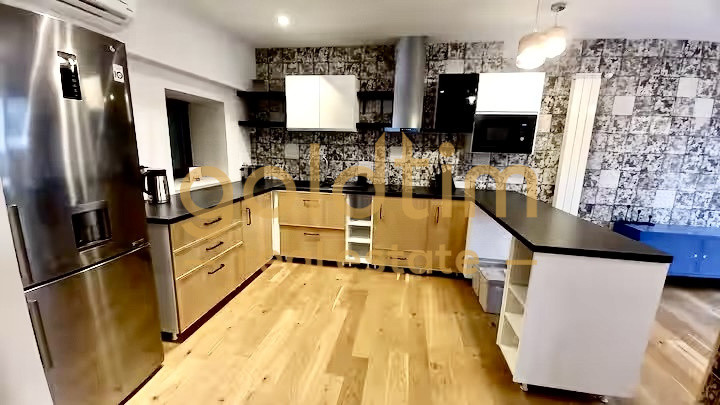 VILA SUPERBA RENOVATA COMPLET/4 APARTAMENTEx120M/480MP/KISELEFF-MUZEUL TARANULUI