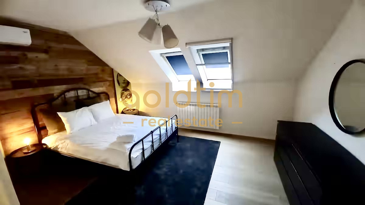 VILA SUPERBA RENOVATA COMPLET/4 APARTAMENTEx120M/480MP/KISELEFF-MUZEUL TARANULUI