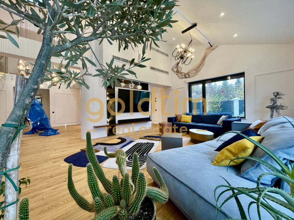 UNICA/ABSOLUT SUPERBA/ VILA INDIVIDUALA/IANCU NICOLAE/CURTE GENEROASA