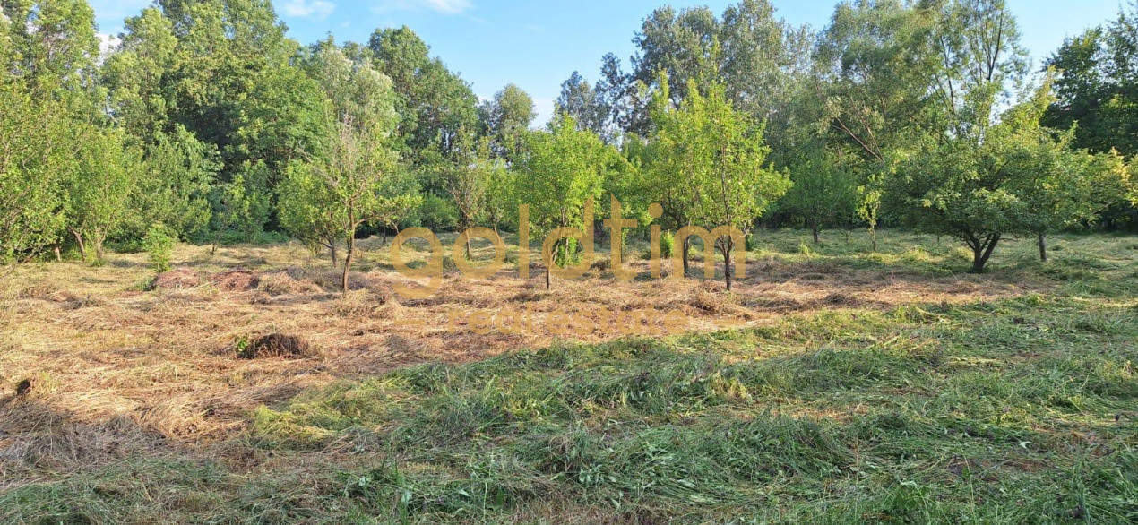 CASA IN ZONA LINISTITA/MOBILATA/UTILATA/TEREN IMPRESIONANT 5000MP/CORNU/PRAHOVA