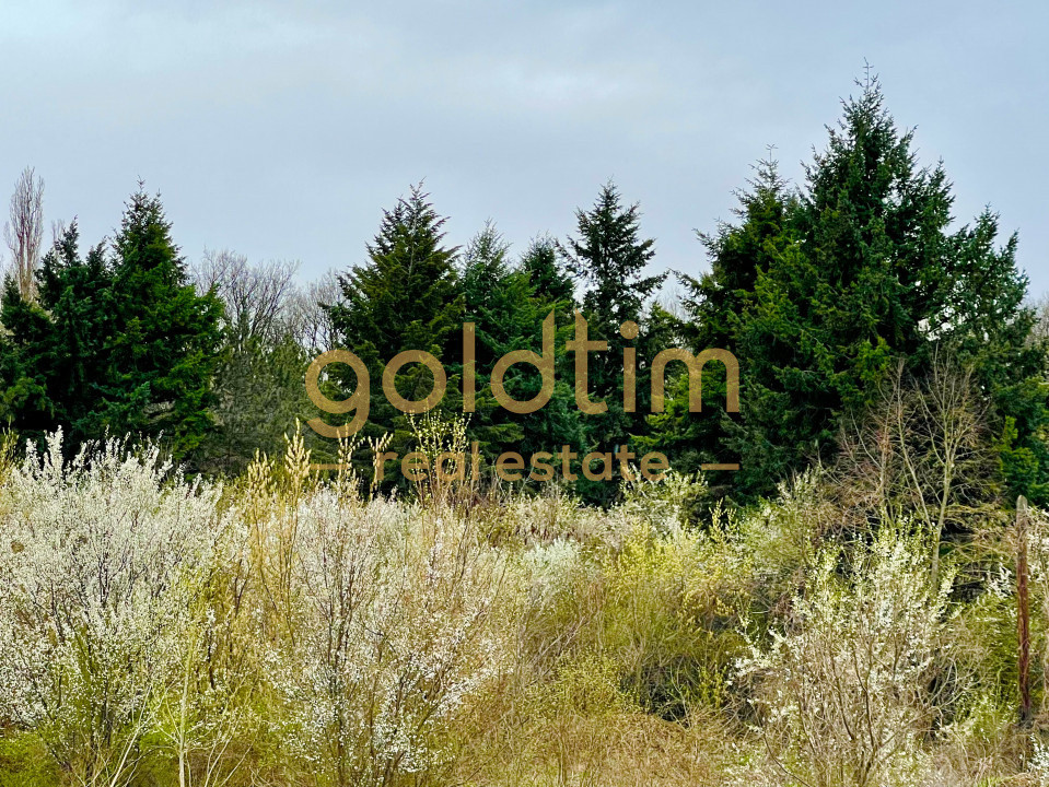 NOU/PRIMA INCHIRIERE/ PRIVELISTE UNICA/PARCARE SUBTERANA