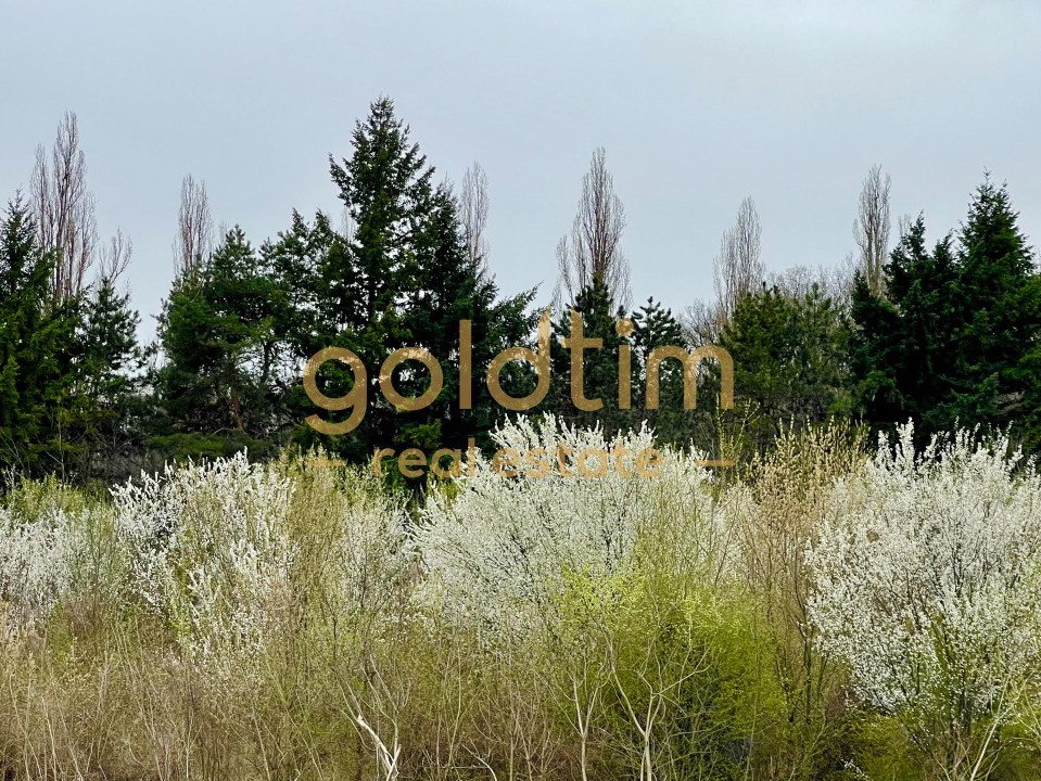 NOU/PRIMA INCHIRIERE/ PRIVELISTE UNICA/PARCARE SUBTERANA