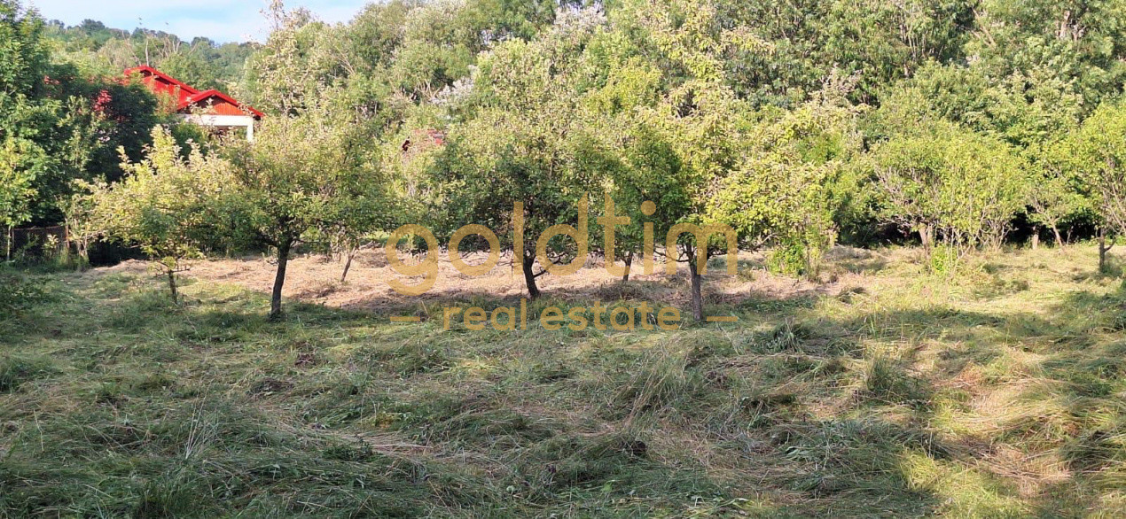 CASA IN ZONA LINISTITA/MOBILATA/UTILATA/TEREN IMPRESIONANT 5000MP/CORNU/PRAHOVA