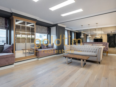 DOROBANTI/ZONA EXCLUSIVISTA/TERASA GENEROASA/LUXOS SI LUMINOS