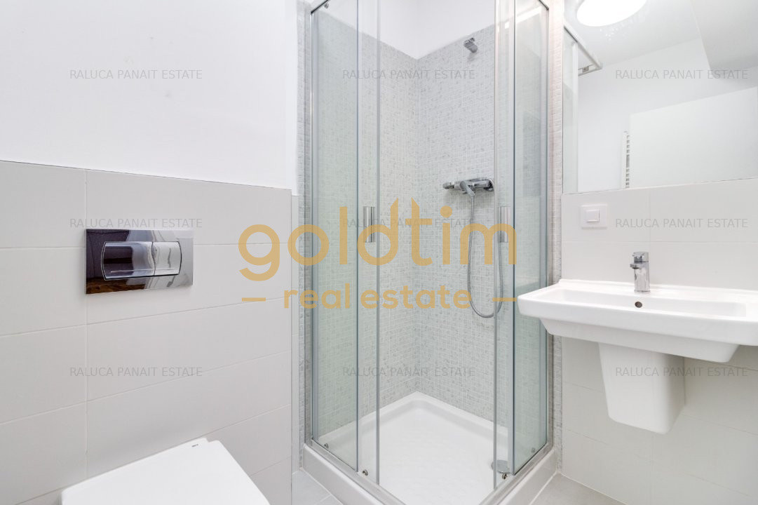 MOBILAT SI UTILAT/ ZONA LINISTITA/IANCU NICOLAE