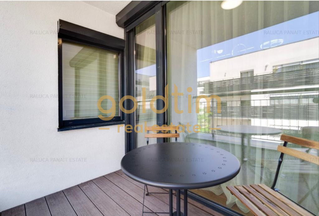 MOBILAT SI UTILAT/ ZONA LINISTITA/IANCU NICOLAE