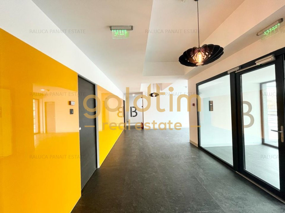 MOBILAT SI UTILAT/ ZONA LINISTITA/IANCU NICOLAE