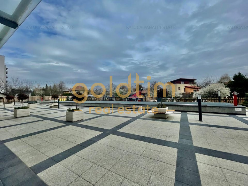 MOBILAT SI UTILAT/ ZONA LINISTITA/IANCU NICOLAE