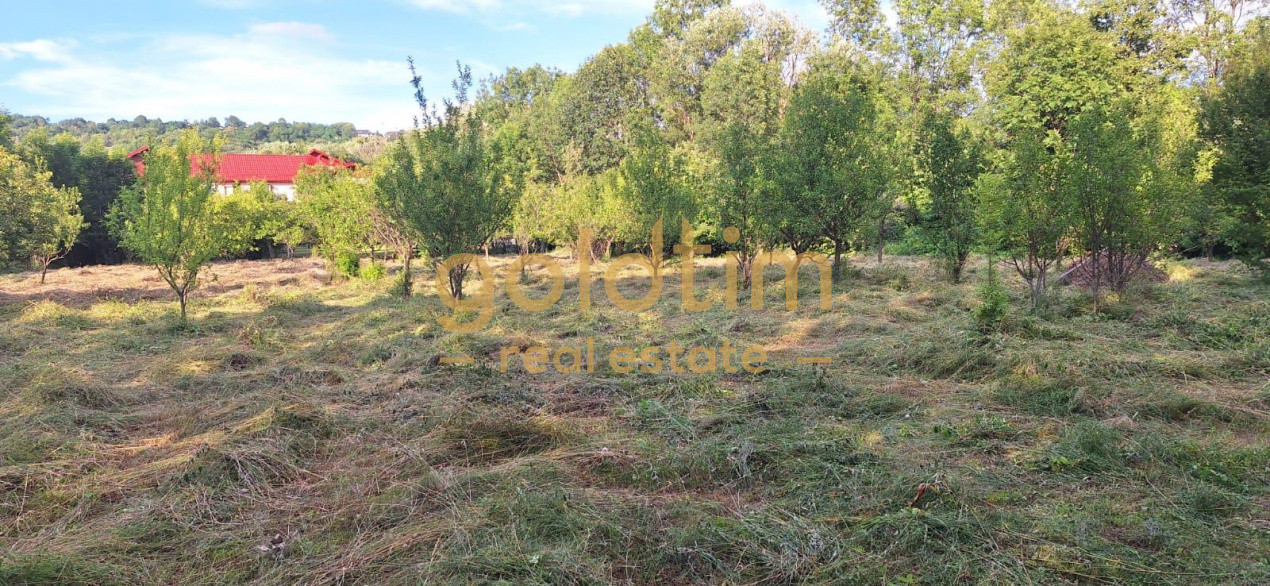 CASA IN ZONA LINISTITA/MOBILATA/UTILATA/TEREN IMPRESIONANT 5000MP/CORNU/PRAHOVA