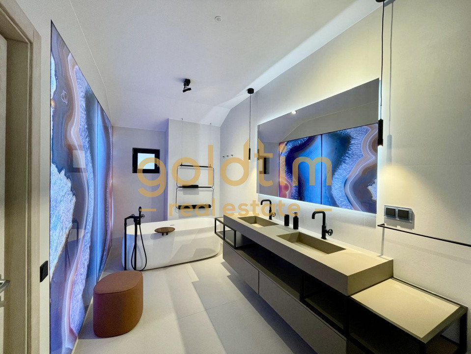 UNICA/ABSOLUT SUPERBA/ VILA INDIVIDUALA/IANCU NICOLAE/CURTE GENEROASA