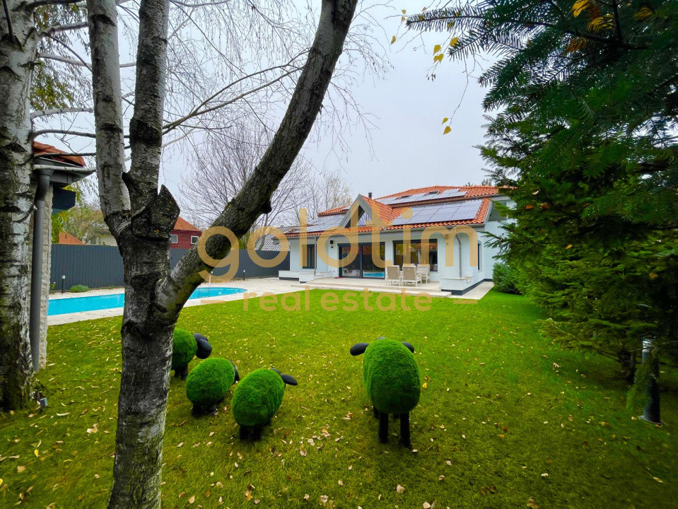 UNICA/ABSOLUT SUPERBA/ VILA INDIVIDUALA/IANCU NICOLAE/CURTE GENEROASA