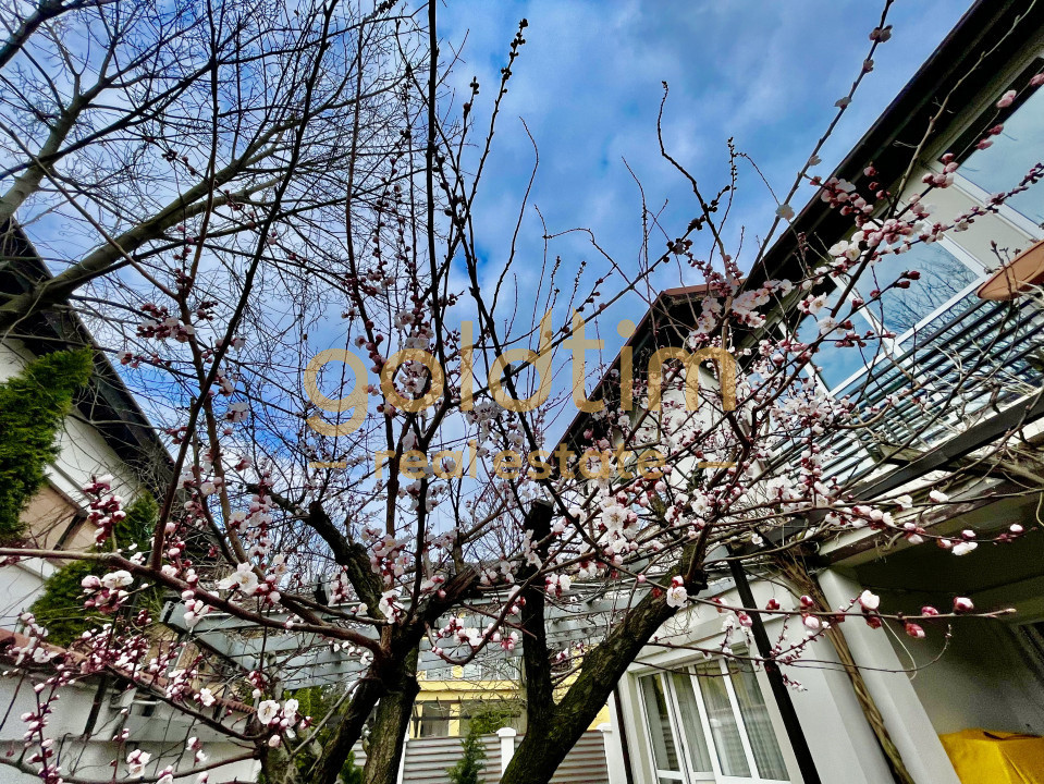 IANCU NICOLAE/ GRADINA SUPERBA/LOCURI DE PARCARE/SPATII GENEROASE