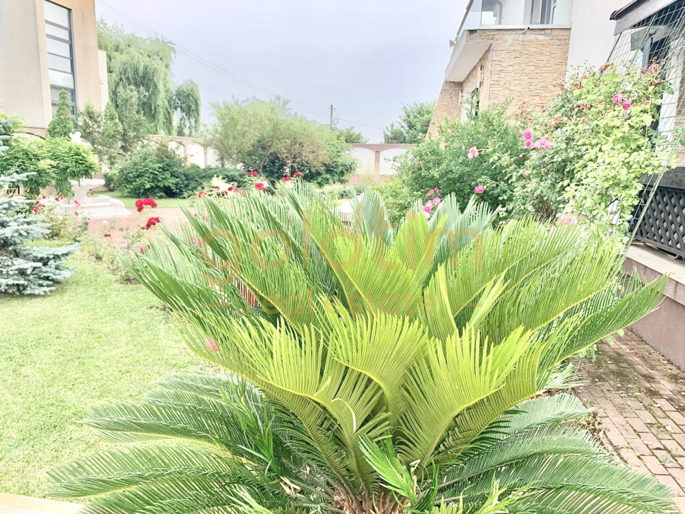 CASA INDIVIDUALA/PISCINA INCALZITA/CURTE 1950MP/BANEASA/SISESTI