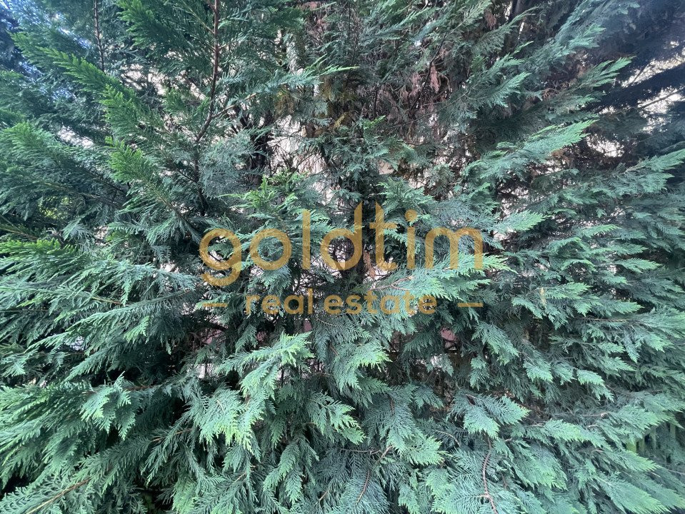 VILA INDIVIDUALA/SPATII GENEROASE/ CURTE 600mp/COMPLEX REZIDENTIAL/IANCU NICOLAE